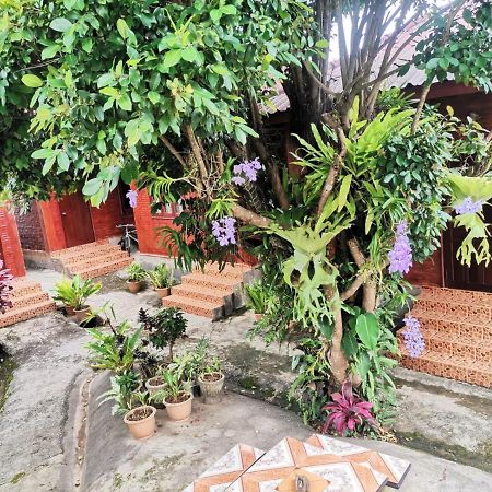 Kongkeo Guesthouse Muang Phônsavan Extérieur photo